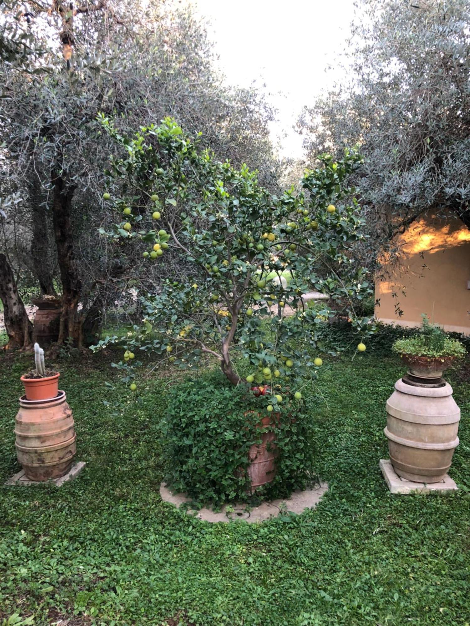 Agriturismo La Canonica Manciano Dış mekan fotoğraf